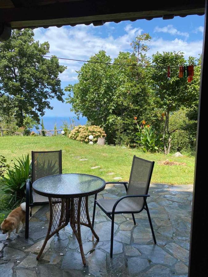 Kallisto Guesthouse Tsagarada Luaran gambar